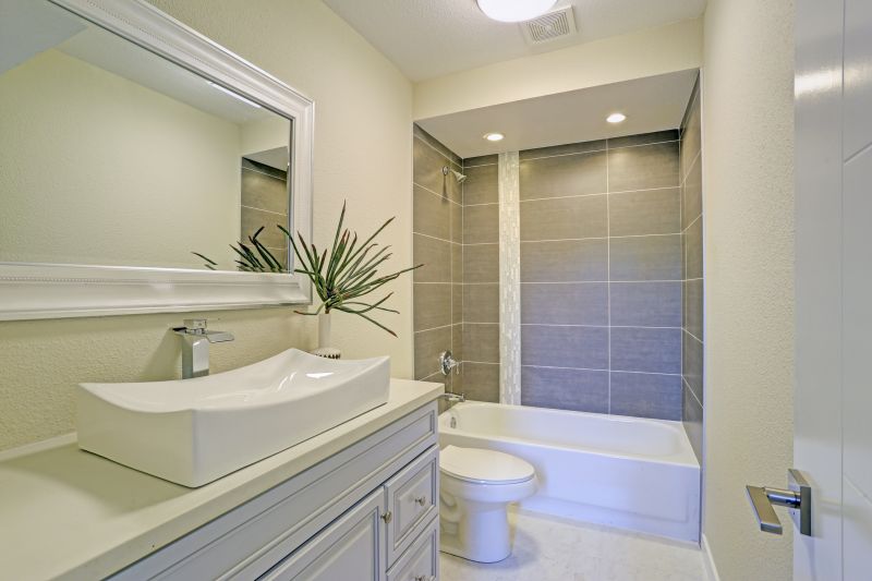 Accessible Bath Remodel detail